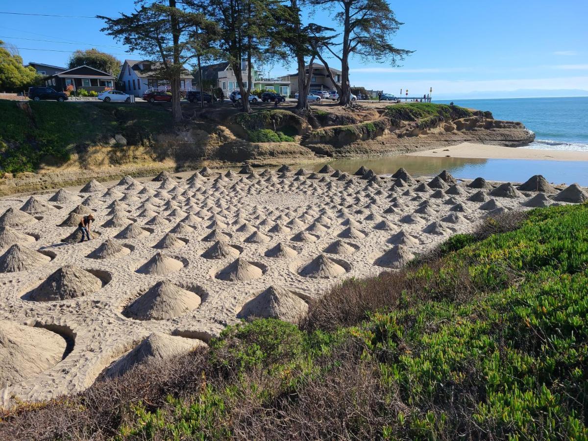 Sunny Cove Motel Santa Cruz Exterior photo