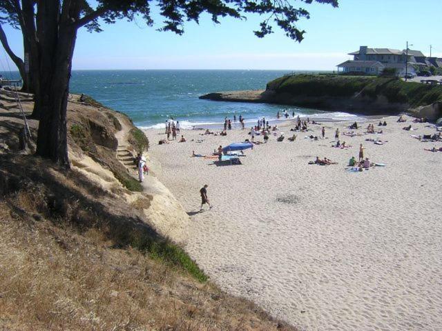 Sunny Cove Motel Santa Cruz Exterior photo